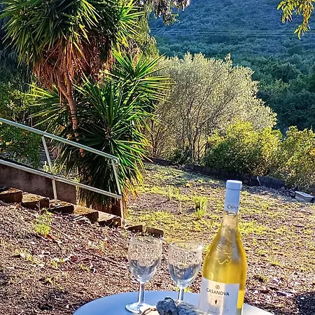 à 500 M De La Saint-Florent (Corsica)