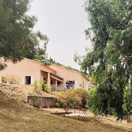 à 500 M De La Saint-Florent (Corsica)