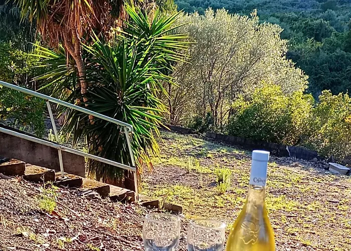 A 500 M De La Saint-Florent (Corsica)